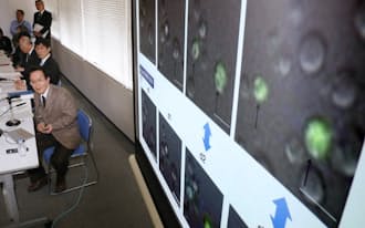 Stap論文の画像切り貼り 研究不正と断定 理研 日本経済新聞