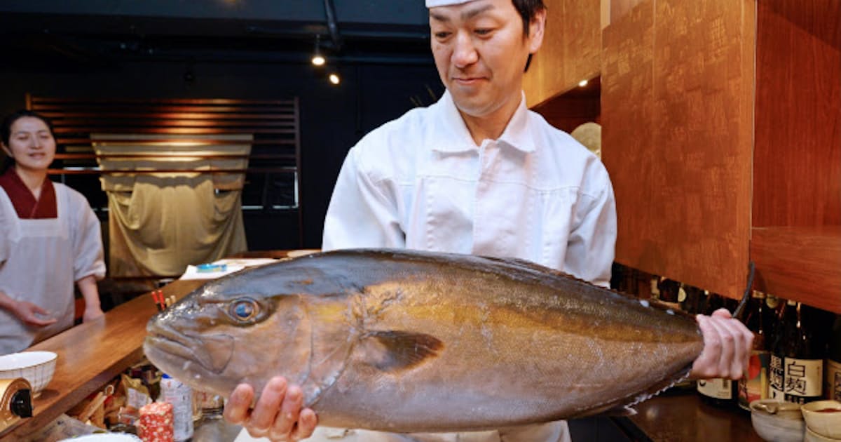 高級魚 養殖広がる 大型のカンパチやサクラマス 日本経済新聞 高級魚 養殖広がる 大型のカンパチやサクラマス 日本経済新聞