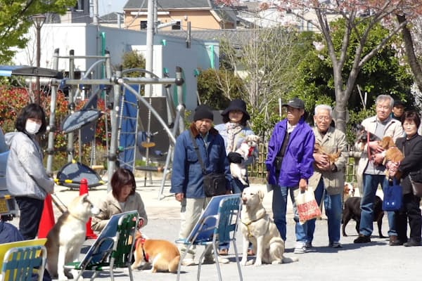 四六のガマ ヒキガエル 指の本数を調べてみた Nikkei Style 四六のガマ ヒキガエル 指の本数を調べてみた Nikkei Style