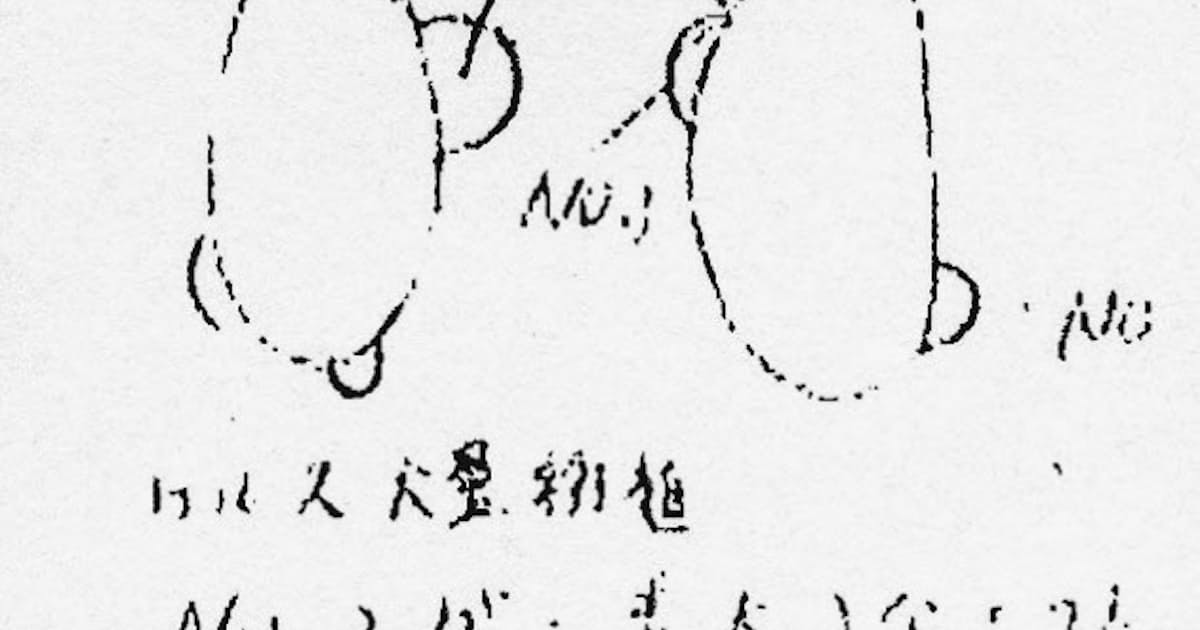 止まる 少年 忍耐 Stap 細胞 ノート Manaduru Art Jp 止まる 少年 忍耐 Stap 細胞 ノート Manaduru Art Jp