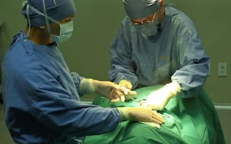 クローン犬を作るため卵子の移植手術をするファン氏(右、スアム・バイオテックで)