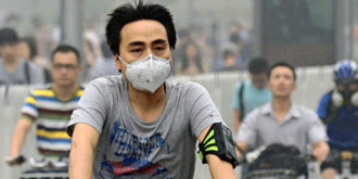共同 共同