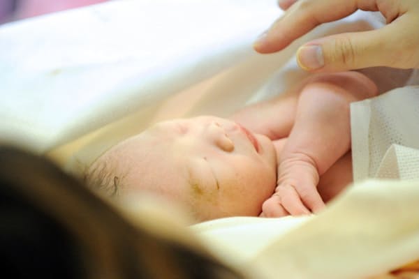 凍結した卵子で将来妊娠できる確率は低い Nikkei Style 凍結した卵子で将来妊娠できる確率は低い Nikkei Style