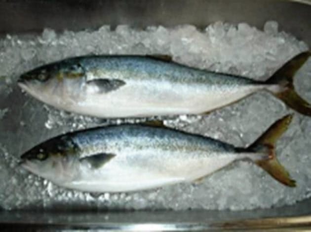 ブリの旬は夏 最新の養殖技術が変える魚の食べ時 Nikkei Style ブリの旬は夏 最新の養殖技術が変える魚の食べ時 Nikkei Style