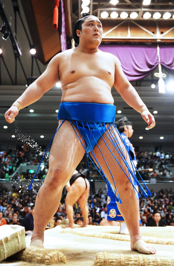 上目指す 覚悟の猛げいこ 大相撲 隠岐の海歩 上 日本経済新聞