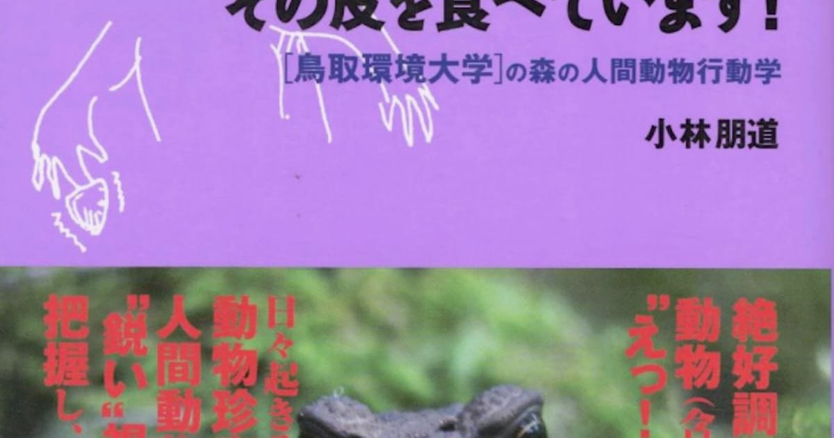 先生 カエルが脱皮してその皮を食べています 小林朋道著 日本経済新聞 先生 カエルが脱皮してその皮を食べています 小林朋道著 日本経済新聞
