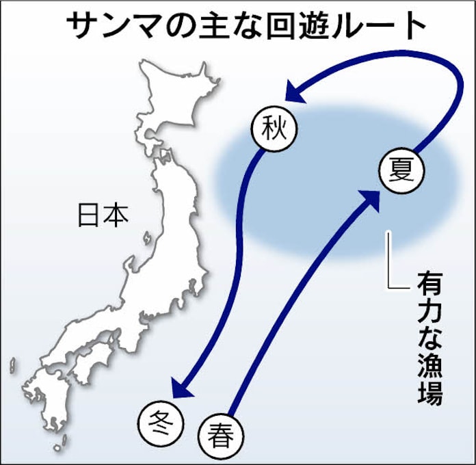 大衆魚 軒並み高騰 海水温変動が影響か 日本経済新聞 大衆魚 軒並み高騰 海水温変動が影響か 日本経済新聞
