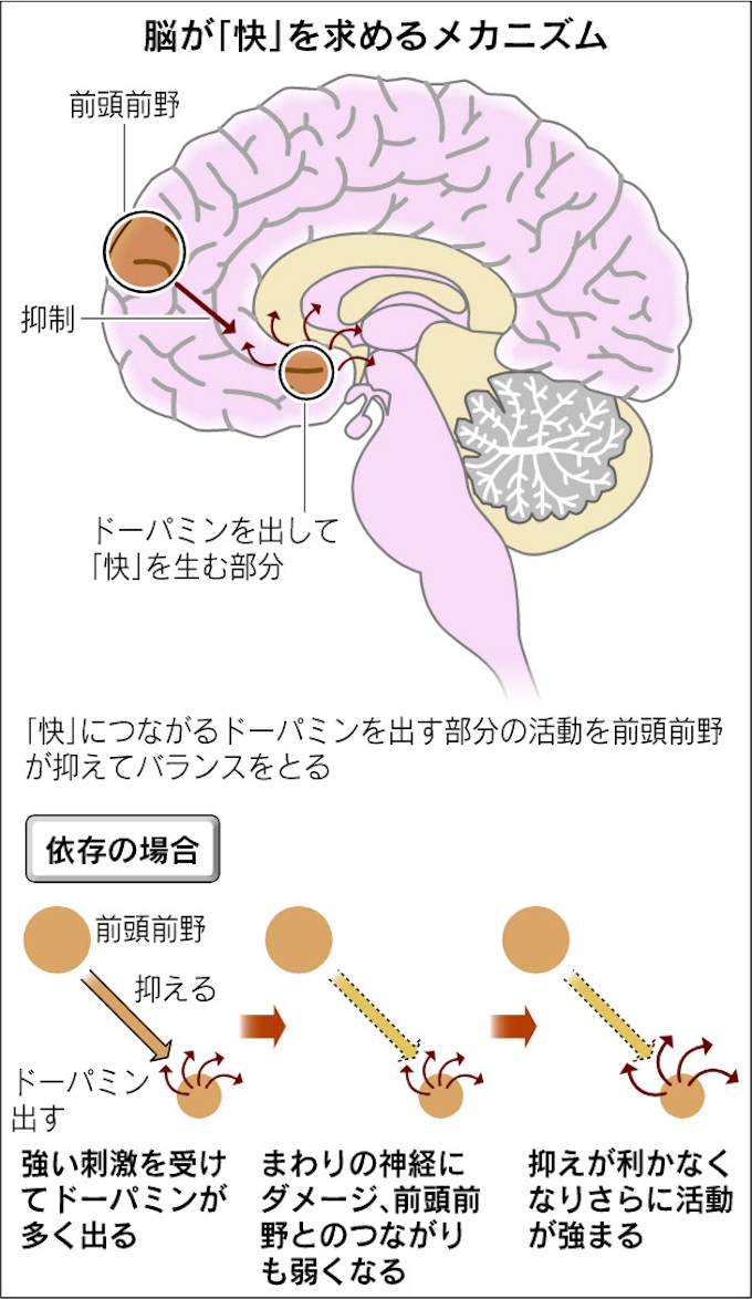 仕事 買い物 恋愛 熱中と依存のあいまいな関係 日本経済新聞