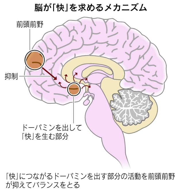 仕事 衝動買い 依存症リスクすぐそばに Nikkei Style 仕事 衝動買い 依存症リスクすぐそばに Nikkei Style