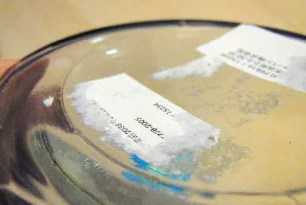 シールをきれいにはがすには Nikkei Style シールをきれいにはがすには Nikkei Style