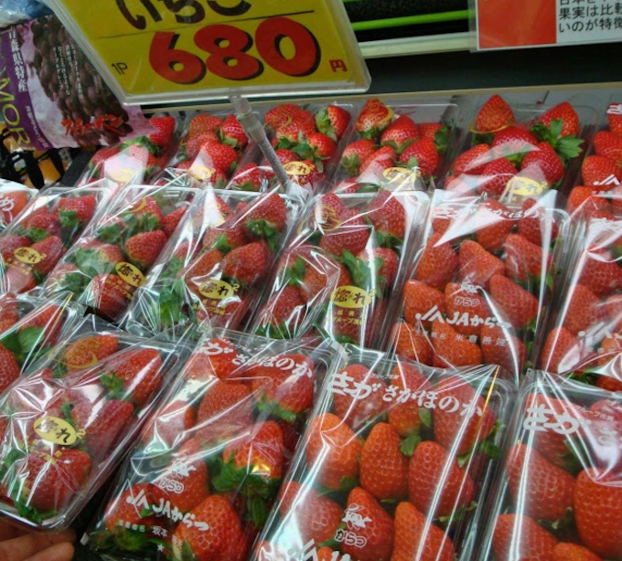 イチゴ卸値4 5割高い 日本経済新聞