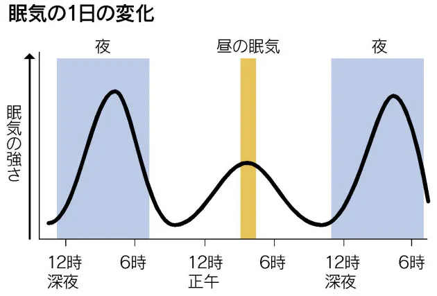 昼休みに仮眠のすすめ 短時間で頭すっきり Nikkei Style