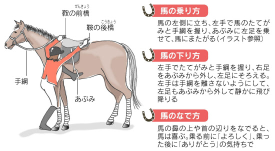 ゼロから始める乗馬 さっそうと風を切るには 日本経済新聞