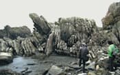 室戸岬は、地震による大地の隆起を示す天然の標本が豊富だ