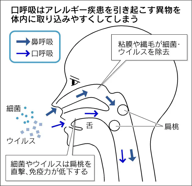 花粉症に強い体に ポイントは鼻呼吸 Nikkei Style 花粉症に強い体に ポイントは鼻呼吸 Nikkei Style