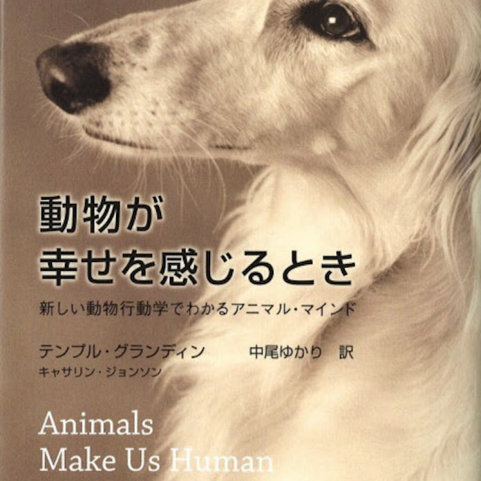 動物が幸せを感じるとき T グランディン C ジョンソン著 日本経済新聞 動物が幸せを感じるとき T グランディン C ジョンソン著 日本経済新聞