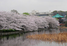 不忍池周辺に江戸の景色を 都 上野公園を再整備 日本経済新聞