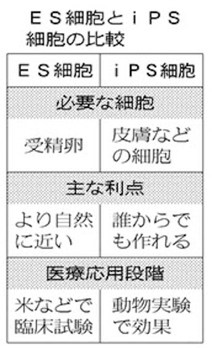 Es細胞とips細胞 日本経済新聞
