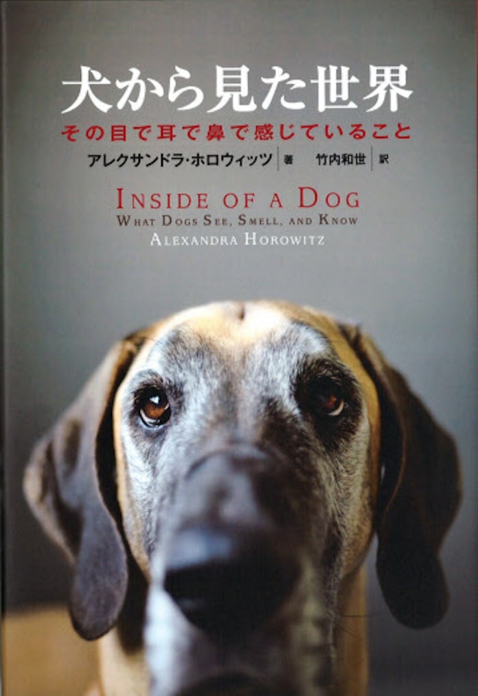犬から見た世界 アレクサンドラ ホロウィッツ著 日本経済新聞 犬から見た世界 アレクサンドラ ホロウィッツ著 日本経済新聞