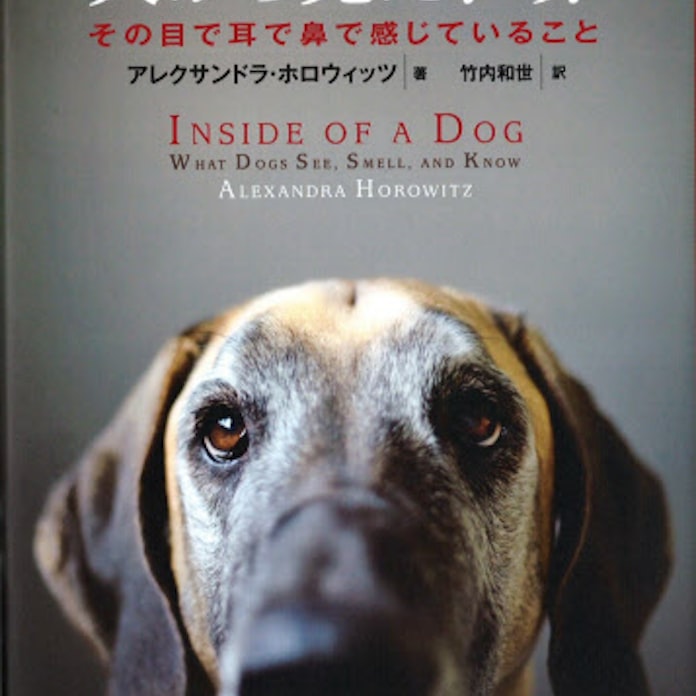 犬から見た世界 アレクサンドラ ホロウィッツ著 日本経済新聞 犬から見た世界 アレクサンドラ ホロウィッツ著 日本経済新聞