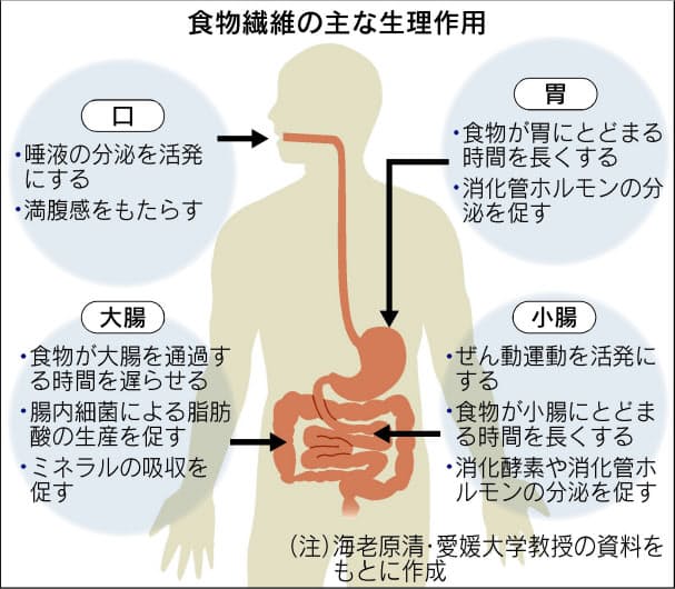 食物繊維 とにかくとる は健康効果乏しく 食べ方の新常識 Nikkei Style