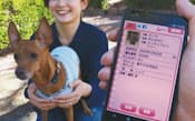 ペットの健康管理にスマホのアプリを活用（千葉県柏市）