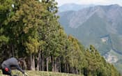 標高500メートル超の高地で栽培される茶もある（静岡市）