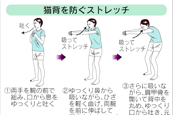 肩こりや腰痛の原因 猫背を直す3つのポイント Nikkei Style 肩こりや腰痛の原因 猫背を直す3つのポイント Nikkei Style
