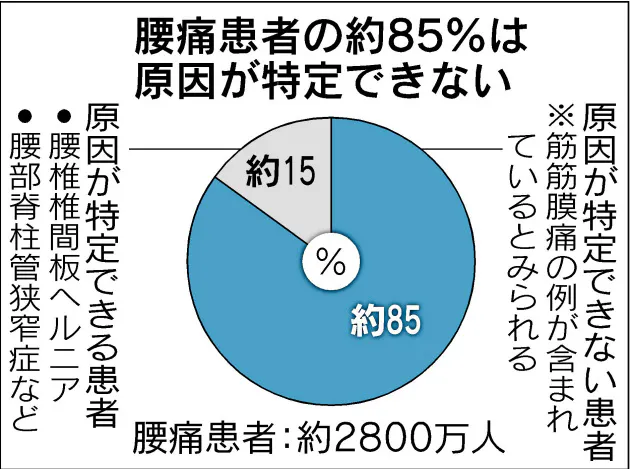 慢性の腰痛 実は筋肉痛 しこり押すと強い痛み Nikkei Style 慢性の腰痛 実は筋肉痛 しこり押すと強い痛み Nikkei Style