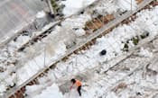 大雪でビニールハウスがつぶれ、農業被害が深刻化している（20日、山梨県甲州市）