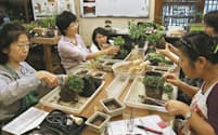 2時間の講座で手軽に盆栽を作れる教室（さいたま市北区の清香園）=写真　五十嵐鉱太郎