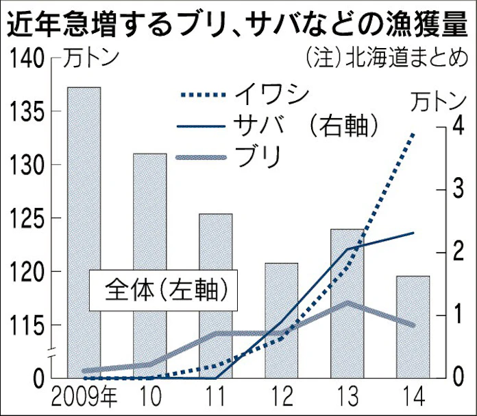 ブリ サバ イワシの漁獲急増 道沿岸 低迷漁業の救世主に 日本経済新聞 ブリ サバ イワシの漁獲急増 道沿岸 低迷漁業の救世主に 日本経済新聞