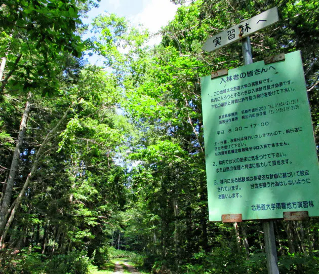 札幌キャンパスはごく一部 北大は東京23区より広い Nikkei Style 札幌キャンパスはごく一部 北大は東京23区より広い Nikkei Style