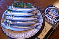 ウルメイワシと土佐市のウルメメニュー提供店を紹介するうるめMAP ウルメイワシと土佐市のウルメメニュー提供店を紹介するうるめMAP