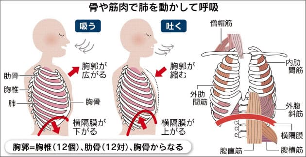息切れしやすい 深くゆっくり 長生き呼吸 を Nikkei Style
