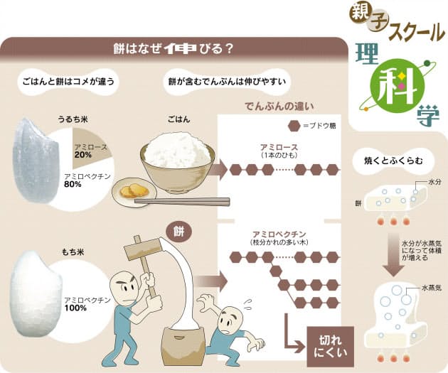 お餅はお米でつくるのに なんで伸びるの Nikkei Style お餅はお米でつくるのに なんで伸びるの Nikkei Style
