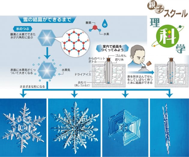 きれいな雪の結晶 どうやって形が決まるの Nikkei Style きれいな雪の結晶 どうやって形が決まるの Nikkei Style