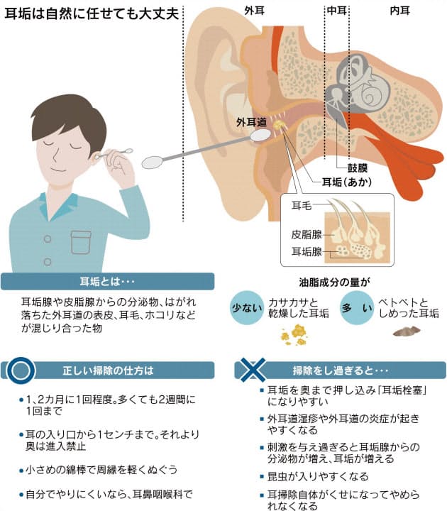 耳掃除 やり過ぎは逆効果 1 2カ月に1回スッキリ Nikkei Style 耳掃除 やり過ぎは逆効果 1 2カ月に1回スッキリ Nikkei Style