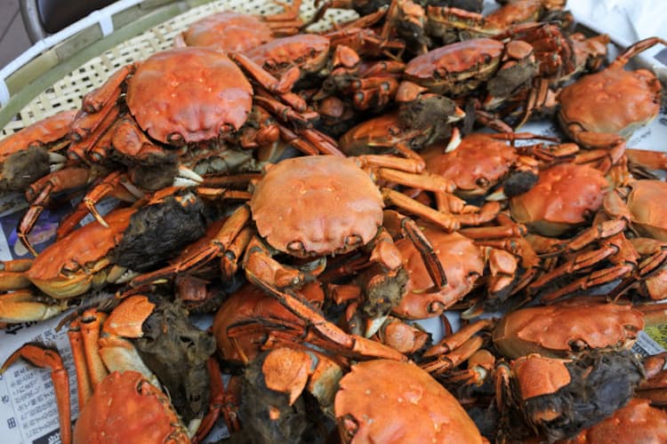 秋田 モクズガニ カニみそ 味噌と絶妙なバランス Nikkei Style 秋田 モクズガニ カニみそ 味噌と絶妙なバランス Nikkei Style