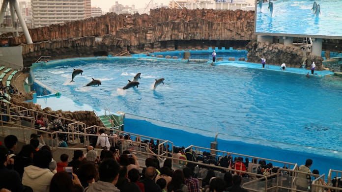 水量1万3400トン 名古屋港水族館に日本最大の水槽 日本経済新聞 水量1万3400トン 名古屋港水族館に日本最大の水槽 日本経済新聞