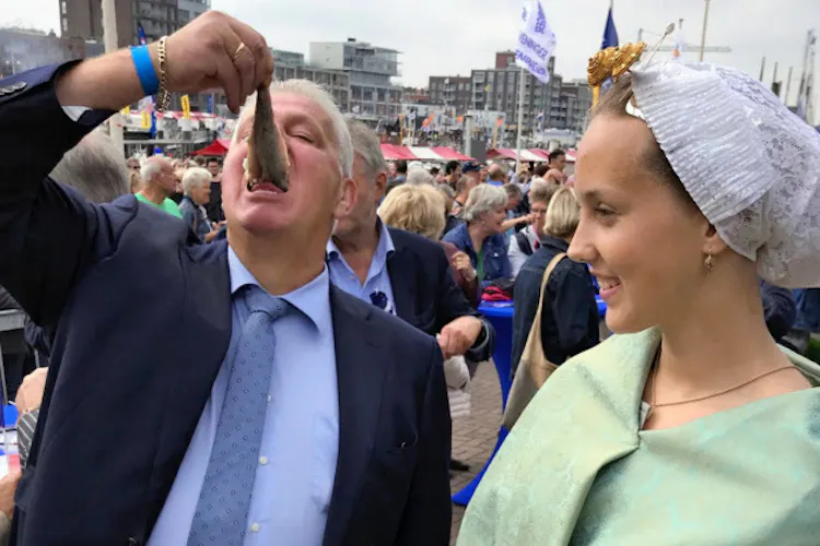 脂のった塩漬けニシン オランダの夏は ハーリング Nikkei Style 脂のった塩漬けニシン オランダの夏は ハーリング Nikkei Style