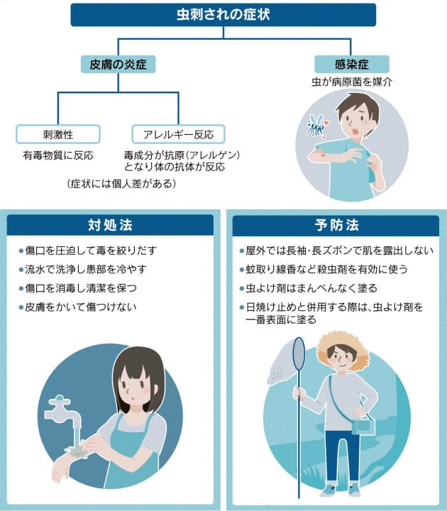 たかが虫刺されと侮らない 放置で疾患や重症化リスク Nikkei Style たかが虫刺されと侮らない 放置で疾患や重症化リスク Nikkei Style