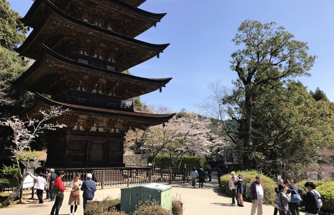 地元の支えで 無料 維持 瑠璃光寺五重塔 山口市 日本経済新聞