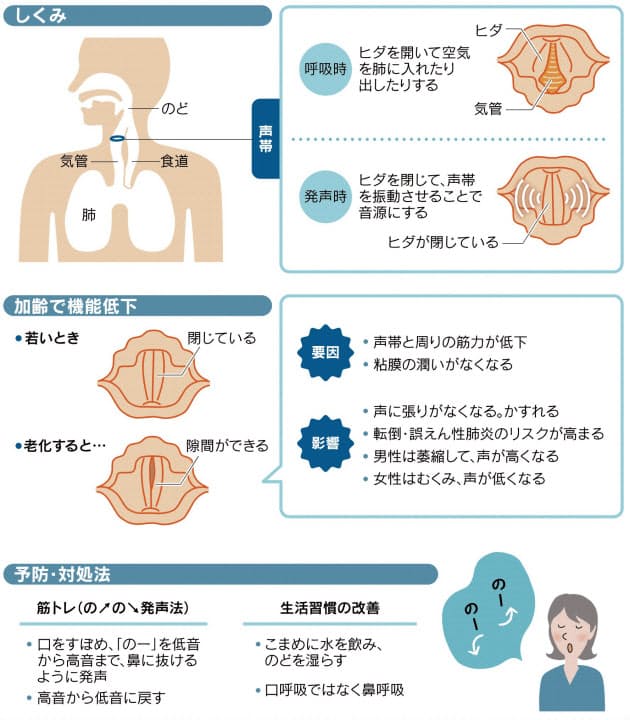 かすれ声は老化のサイン 踏ん張りきかず転倒原因にも Nikkei Style かすれ声は老化のサイン 踏ん張りきかず転倒原因にも Nikkei Style