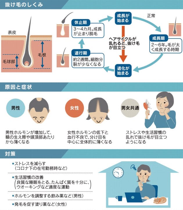 細い髪 目立つ地肌 コロナ下の男女の薄毛悩み対策 Nikkei Style 細い髪 目立つ地肌 コロナ下の男女の薄毛悩み対策 Nikkei Style