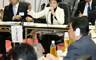 事業仕分けで次世代スパコン技術について質問する蓮舫参院議員（2009年11月13日）