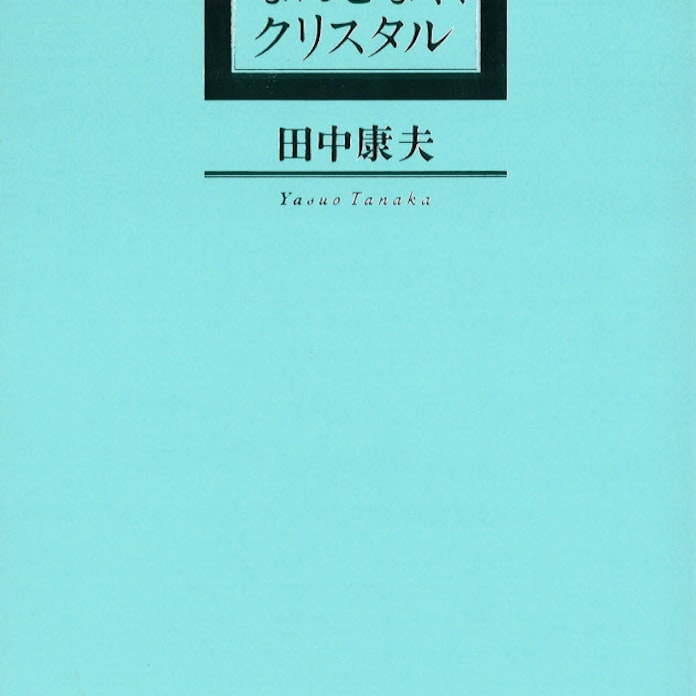 33年後のなんとなく クリスタル 田中康夫著 日本経済新聞