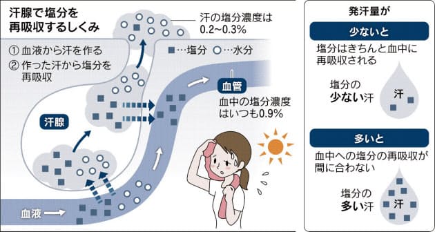 スポーツの秋 脱水症に注意 のど渇く前に補水を Nikkei Style スポーツの秋 脱水症に注意 のど渇く前に補水を Nikkei Style