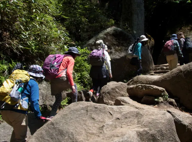 スポーツ用品店の会員特典 割引や優待でお得に Nikkei Style スポーツ用品店の会員特典 割引や優待でお得に Nikkei Style