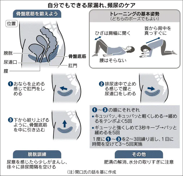 女性に多い尿漏れ 頻尿 骨盤底筋鍛え対策を Nikkei Style
